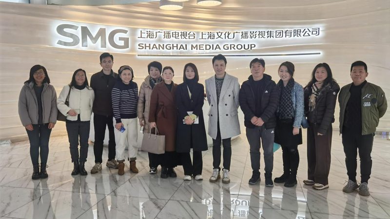 VI手册尺寸印刷报价全解析：尺寸标准与印刷成本揭秘